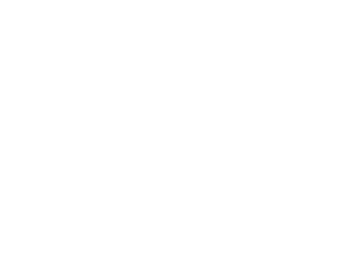 Logo Boulton Pumps - blanco