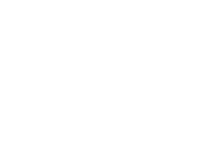 Logo Stur Filters - blanco