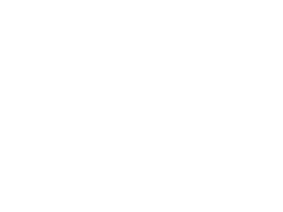 Logo TDF Systems - blanco